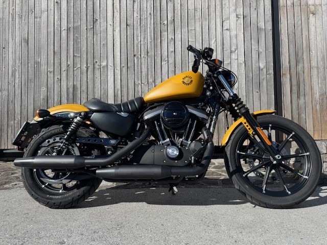 Harley Davidson XL 883 N Sportster Iron